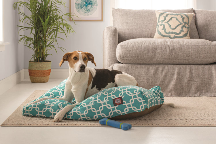 Best Dog Beds Types Features Wayfair Canada